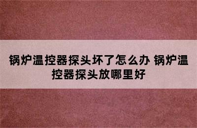 锅炉温控器探头坏了怎么办 锅炉温控器探头放哪里好